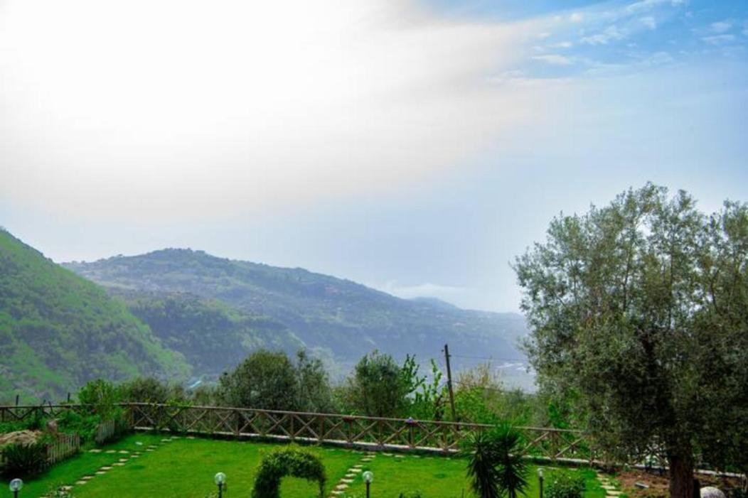 Villa Aurora Oasi Verde Sorrento Luaran gambar