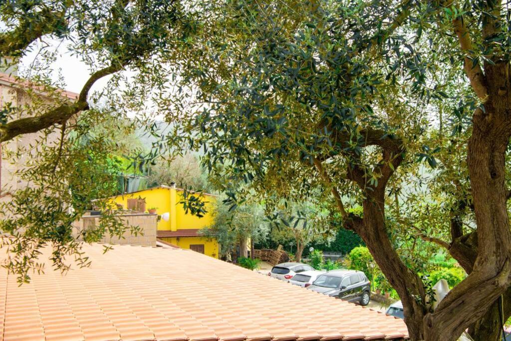 Villa Aurora Oasi Verde Sorrento Luaran gambar
